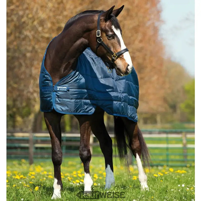 Blaue Steppendecke für Pferde, 100g Füllung, Navy, 155/206 cm, Horseware