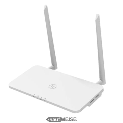 Hoymiles DTU-Pro-S – WLAN datu reģistrētājs mikroinvertoriem | Uzraudzība un uzraudzība