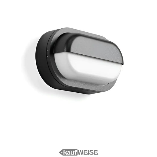 RZB Alu-Lux Oval LED sienas un griestu lampa | 582065.0031.1